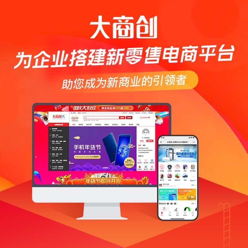 电商平台开发:一个成功案例的深度解析